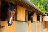 free Tivy Dale stable construction quotes